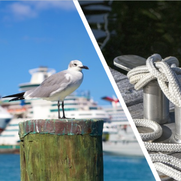 Lust auf Fluss und Meer?